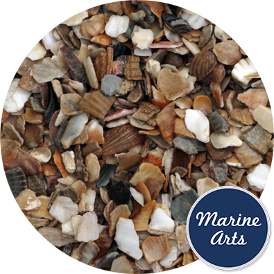 - Crushed Mixed Shell