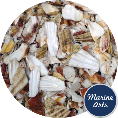 - Crushed Shell - Natural Scallop Footpath