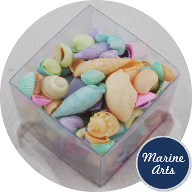 8066-P5 - Beach Cube - Pastel Assorted Shells