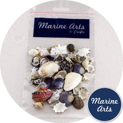 8847-P9 - Hobby & Craft Pack - Mixed Small Shells