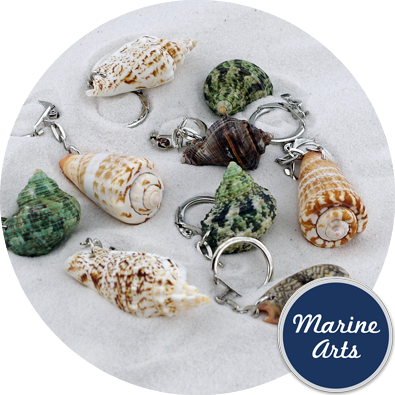 8137 - Shell Keyrings - Assorted