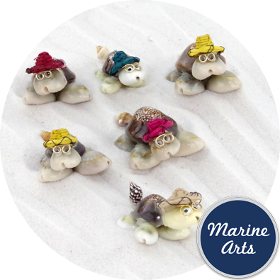 8138 - Mini Cowry Turtles