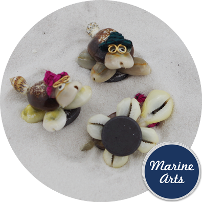 - Mini Cowry Turtle Magnets