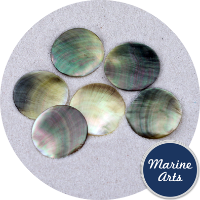 - Polished Black Pearl Oyster Counters