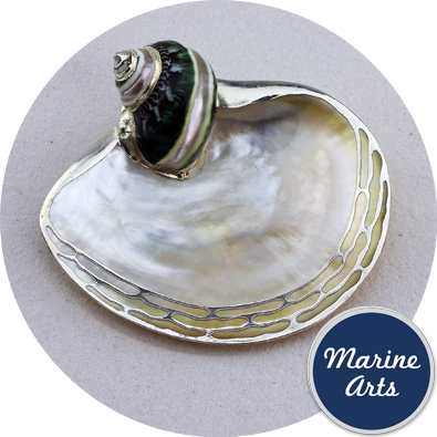 - Silver Edge Dish with Shell Accent - Mother of Pearl