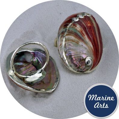 8262 - Silver Edge Napkin Ring - Red Abalone (2 Pack)