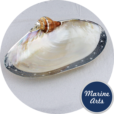 Silver Edge Dish with Shell Accent - Cabebe Clam