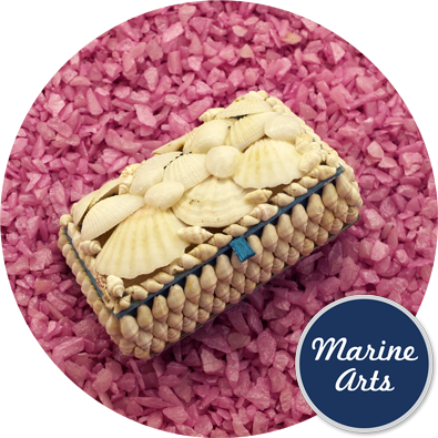 White Shell Jewellery Box - Blue Lined - Large Assorted, Marine Arts ...