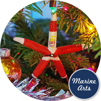 8325 - Festive Decor - Starfish Santa Claus