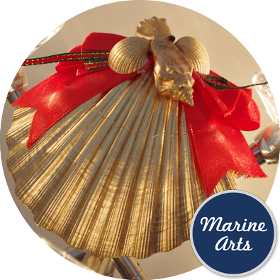 - Festive Decor - Golden Scallop