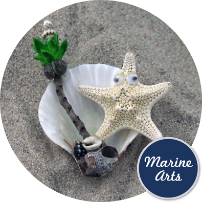 - Starfish and Shell - Magnet