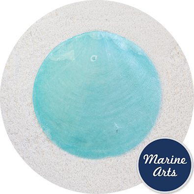 - Capiz Disc - Light Blue 65mm - Project Pack