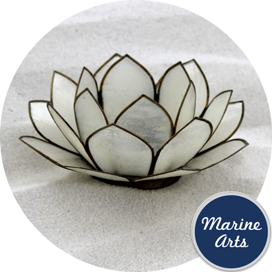 8569 - Capiz Lotus Flower - Natural White 100mm