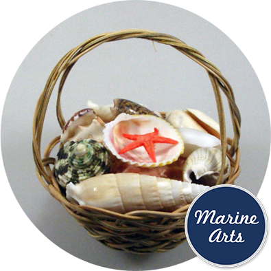 8859 - Basket Assorted Shells with Handle 7.5cm (3" )